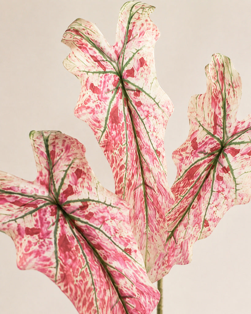 Pink White Artificial Fishbone Leaf Asparagus Greenery Stem - 69 cm