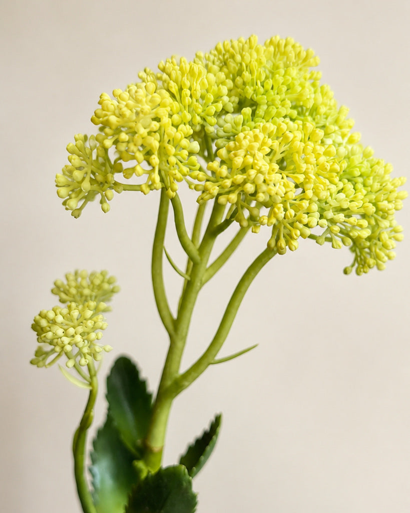 Light Yellow Artificial Sedum Fruit Stem - 55 cm