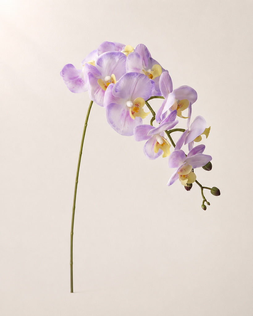 Light Purple PVC Artificial Phalaenopsis Orchid Stem - 100 cm