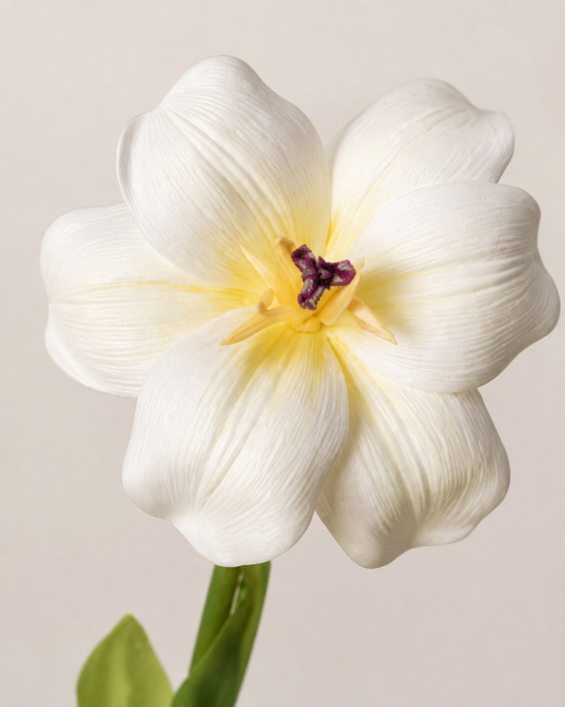 White PU Artificial Tulip Stem - 55 cm