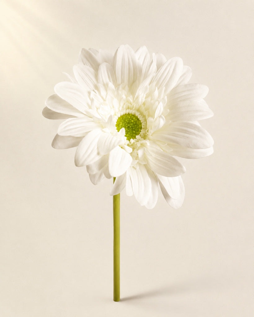 White PVC Artificial Gerbera Daisy Stem - 65 cm