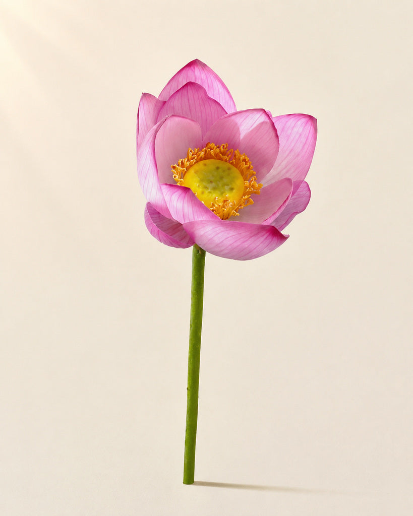 Pink Artificial Lotus Floral Stem - 60 cm