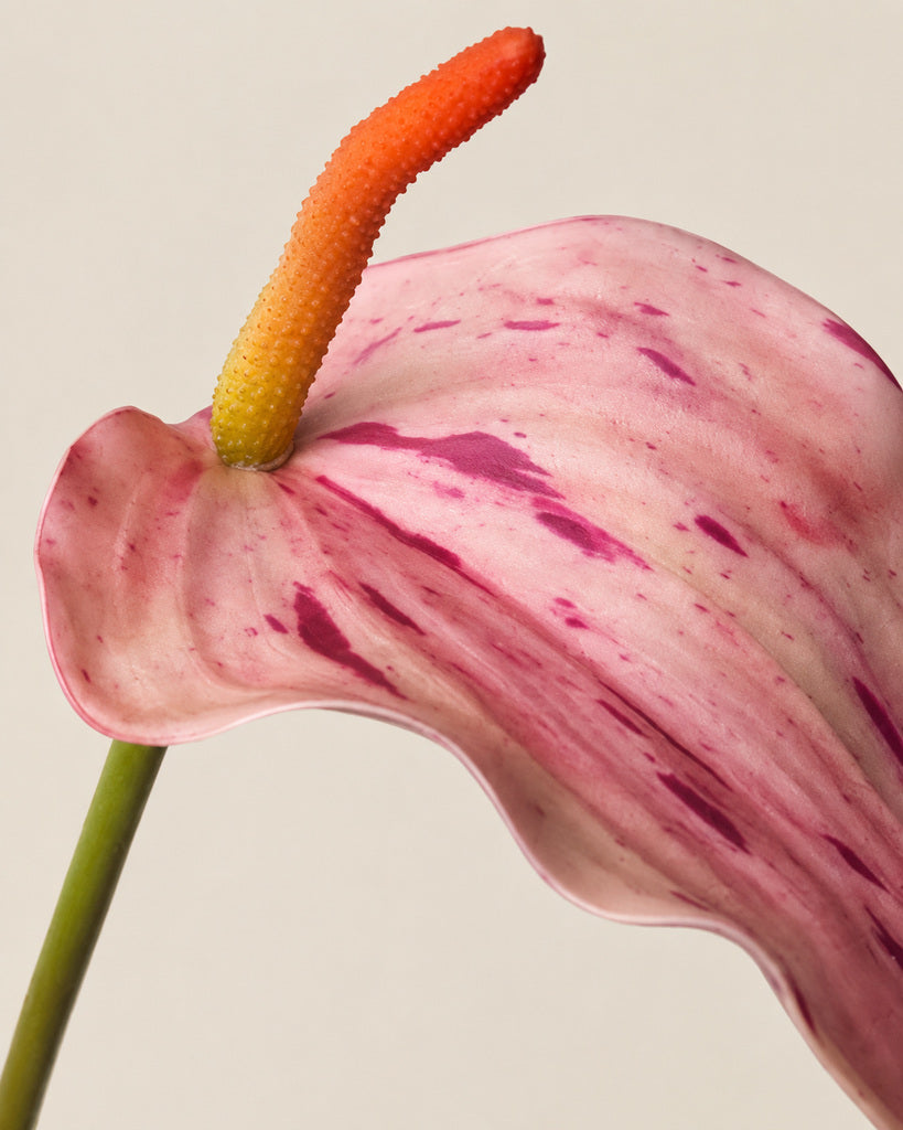 Pink Soft Rubber Artificial Anthurium Stem - 72 cm