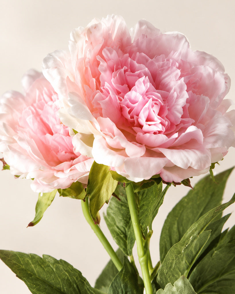 Light Pink 3-Stem Artificial Peony Bouquet - 60 cm