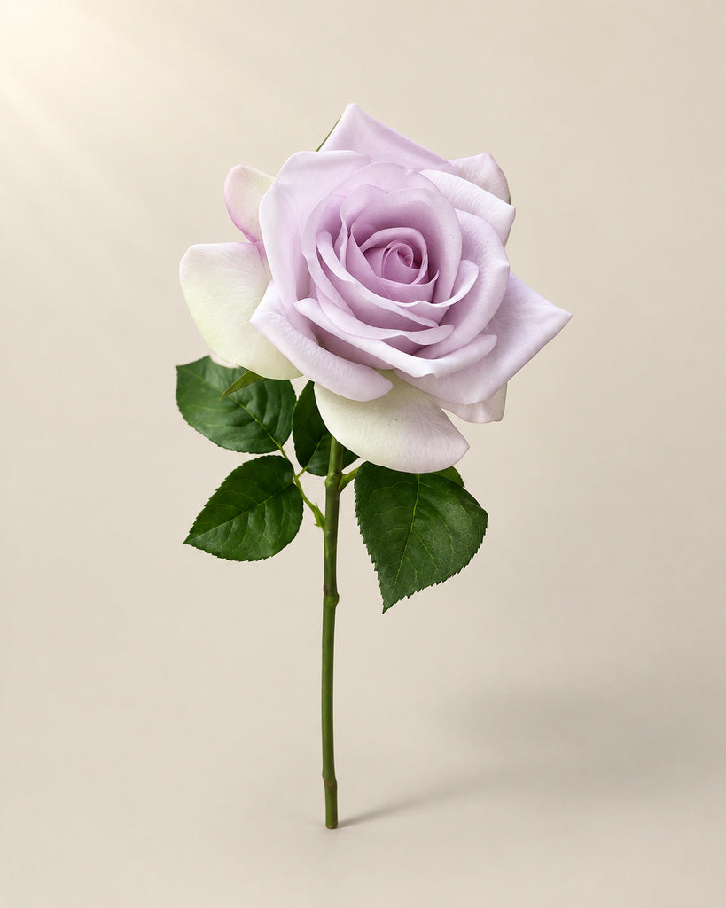 Lavender Green Real Touch Artificial Carola Rose Stem - 66 cm