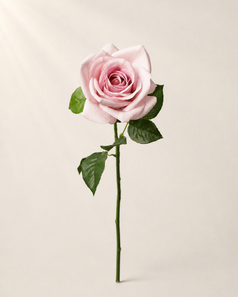 Autumn Purple Real Touch Artificial Carola Rose Stem - 66 cm