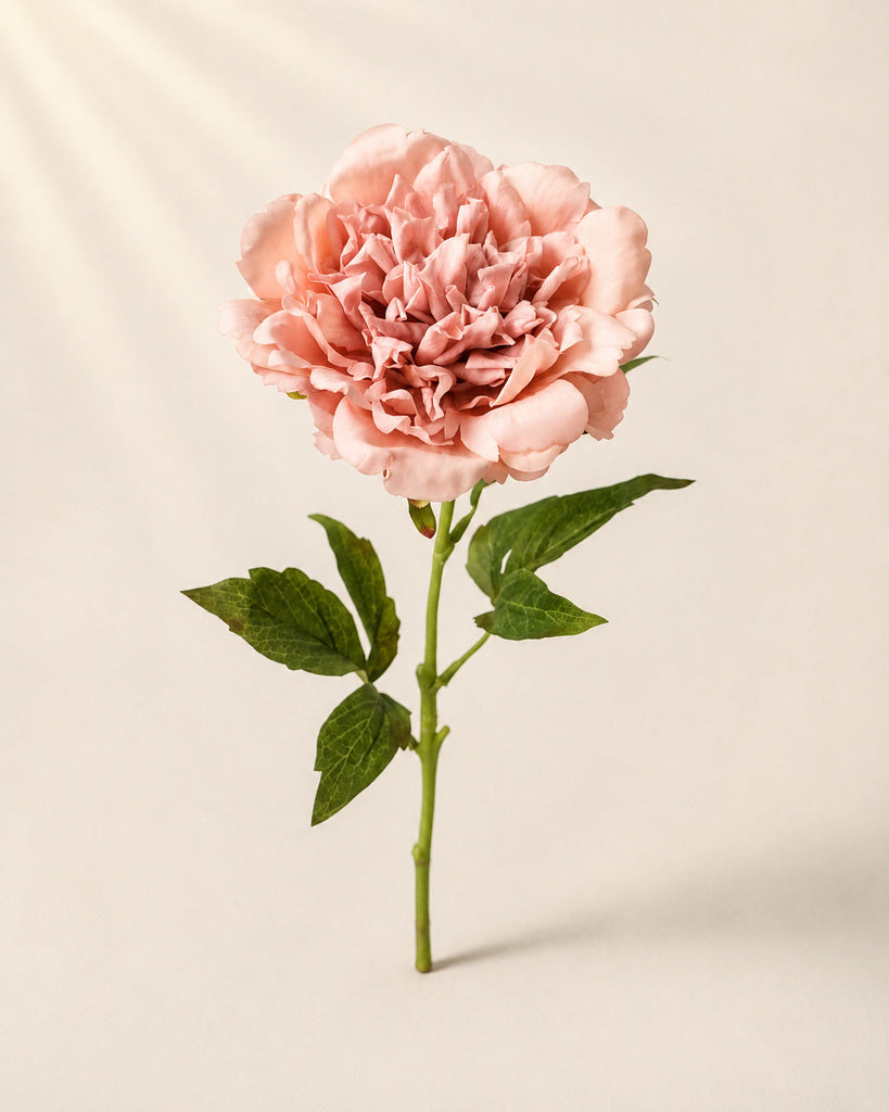 Blush Pink Fabric Artificial Peony Stem - 56 cm