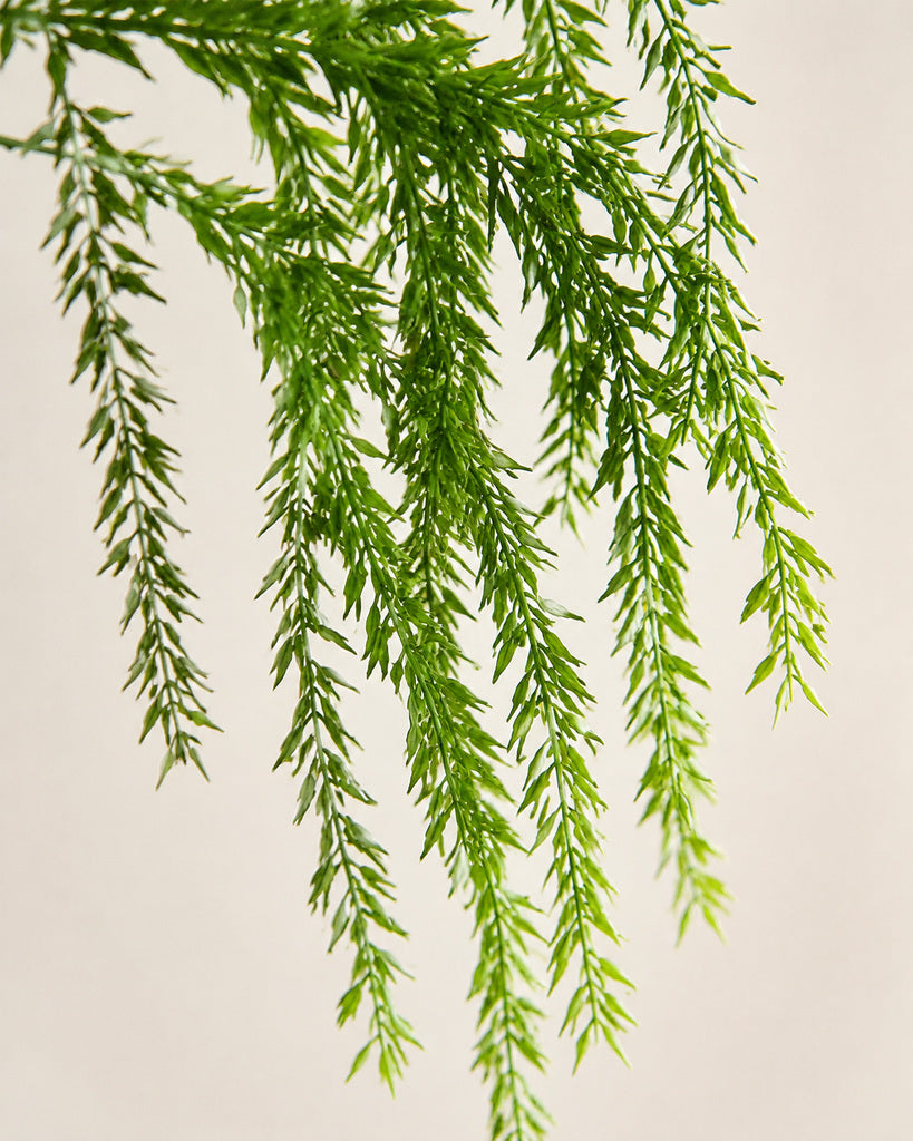 Plastic Artificial Cascading Foxtail Fern Vine - 115 cm