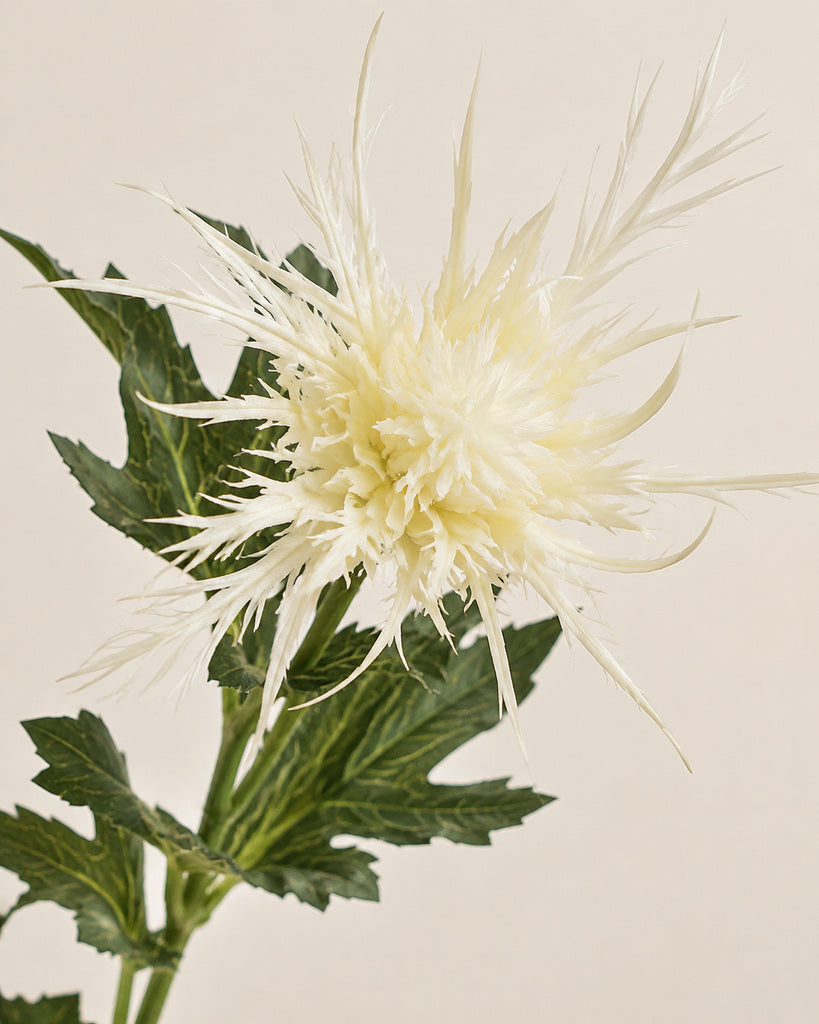 White Fabric Artificial Eryngium Spray - 65 cm
