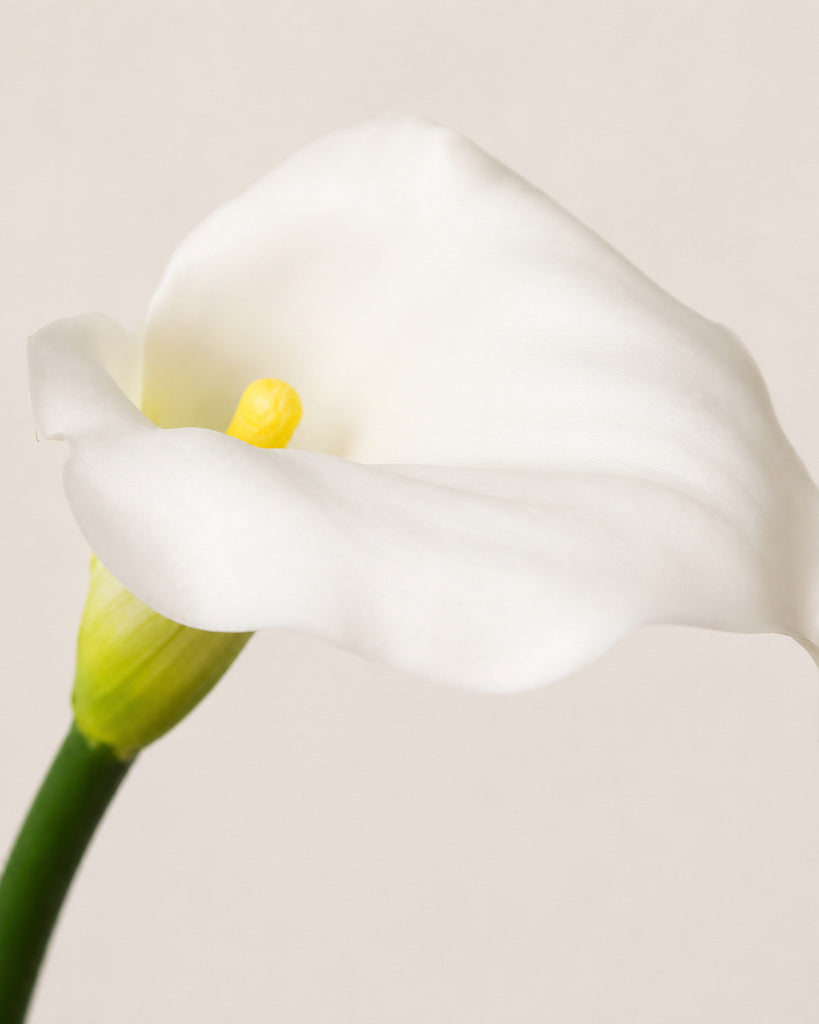 White Mini Artificial Calla Lily Stem - 55 cm