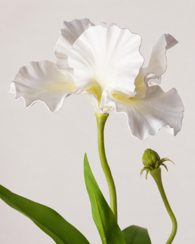 White Soft Rubber & Fabric Artificial Iris Stem - 70 cm