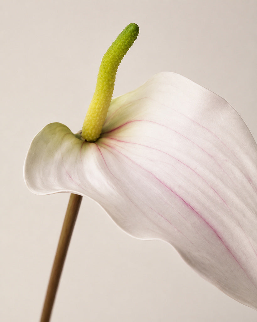 White Soft Rubber Artificial Anthurium Stem - 72 cm