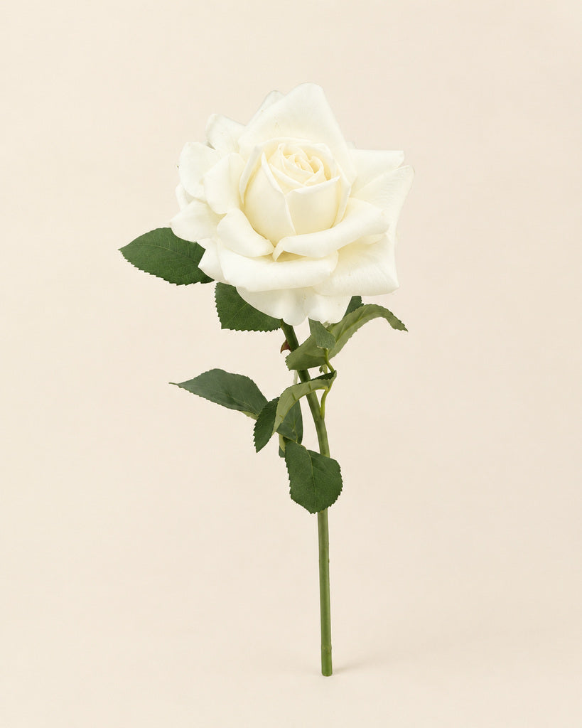 White Soft-Touch Artificial Rose Stem - 73 cm
