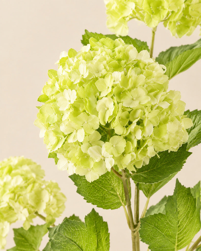 White Green 5-Head Soft-Touch Mini Hydrangea Stem - 85 cm