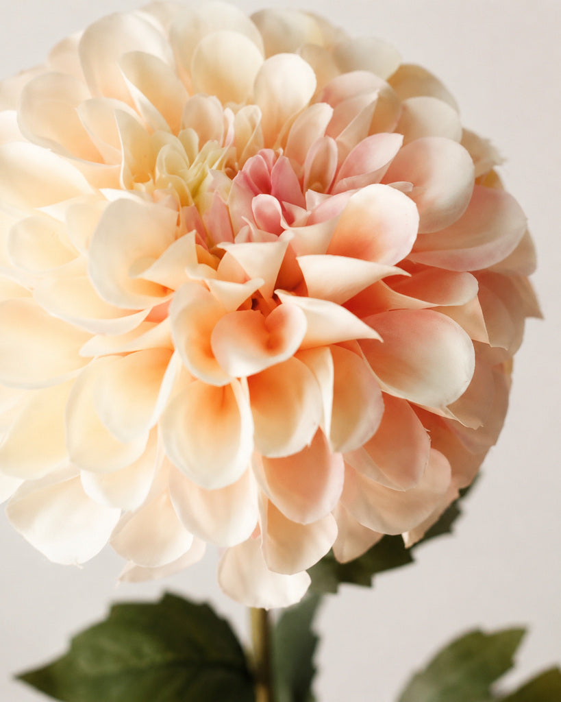 Champagne Pink Fabric Artificial Chrysanthemum Stem - 57 cm