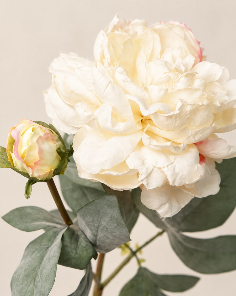 Vintage Champagne 2-Head Artificial Peony Stem - 64 cm