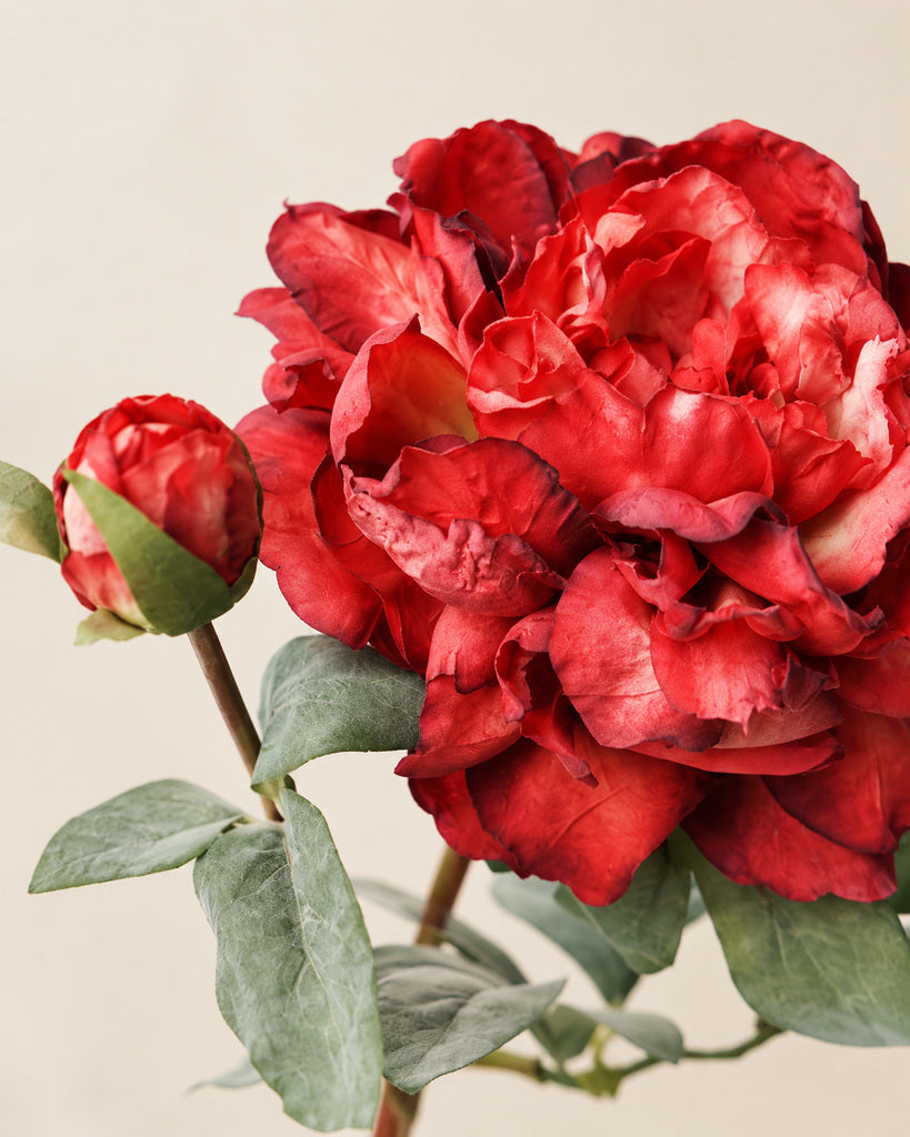 Vintage Red 2-Head Artificial Peony Stem - 64 cm