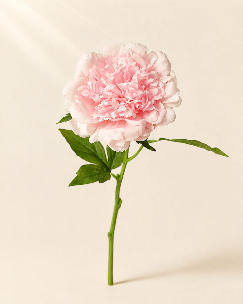 Light Pink Fabric Artificial Peony Stem - 56 cm